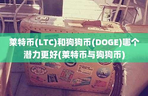 莱特币(LTC)和狗狗币(DOGE)哪个潜力更好(莱特币与狗狗币)