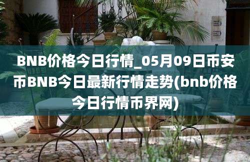 BNB价格今日行情_05月09日币安币BNB今日最新行情走势(bnb价格今日行情币界网)