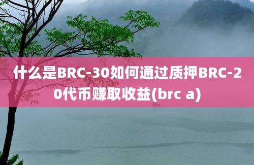 什么是BRC-30如何通过质押BRC-20代币赚取收益(brc a)