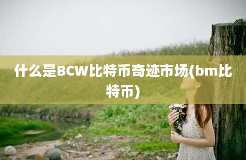 什么是BCW比特币奇迹市场(bm比特币)