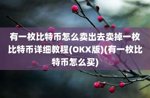 有一枚比特币怎么卖出去卖掉一枚比特币详细教程(OKX版)(有一枚比特币怎么买)