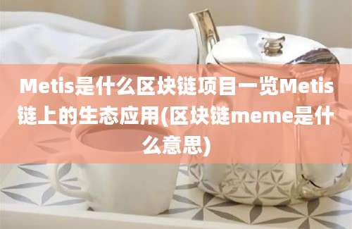 Metis是什么区块链项目一览Metis链上的生态应用(区块链meme是什么意思)