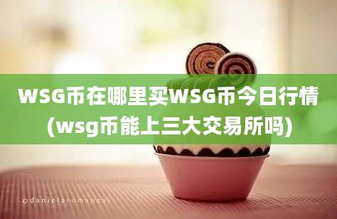 WSG币在哪里买WSG币今日行情(wsg币能上三大交易所吗)