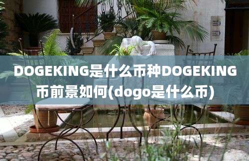 DOGEKING是什么币种DOGEKING币前景如何(dogo是什么币)