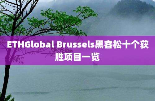 ETHGlobal Brussels黑客松十个获胜项目一览