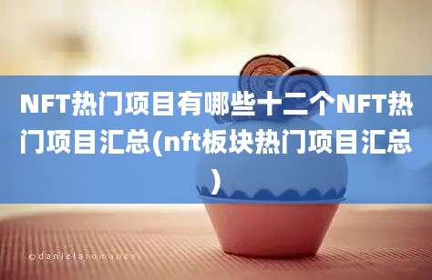 NFT热门项目有哪些十二个NFT热门项目汇总(nft板块热门项目汇总)