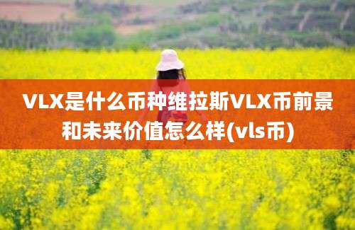 VLX是什么币种维拉斯VLX币前景和未来价值怎么样(vls币)