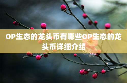 OP生态的龙头币有哪些OP生态的龙头币详细介绍