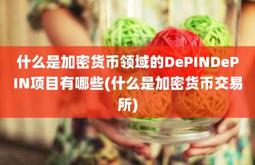 什么是加密货币领域的DePINDePIN项目有哪些(什么是加密货币交易所)