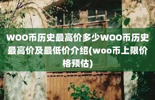 WOO币历史最高价多少WOO币历史最高价及最低价介绍(woo币上限价格预估)