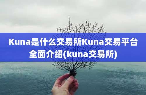 Kuna是什么交易所Kuna交易平台全面介绍(kuna交易所)