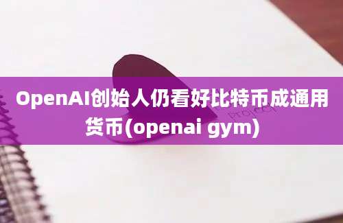 OpenAI创始人仍看好比特币成通用货币(openai gym)