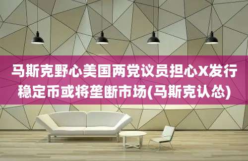 马斯克野心美国两党议员担心X发行稳定币或将垄断市场(马斯克认怂)