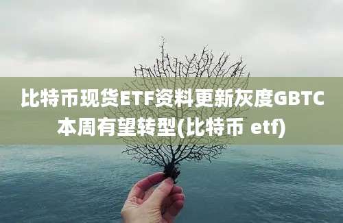 比特币现货ETF资料更新灰度GBTC本周有望转型(比特币 etf)