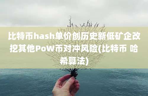 比特币hash单价创历史新低矿企改挖其他PoW币对冲风险(比特币 哈希算法)