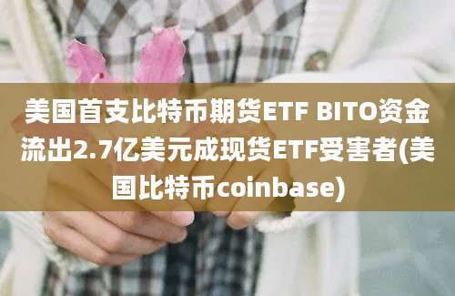 美国首支比特币期货ETF BITO资金流出2.7亿美元成现货ETF受害者(美国比特币coinbase)