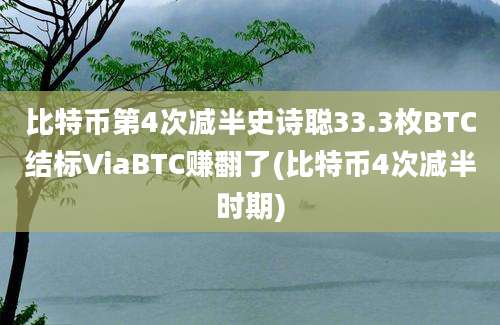 比特币第4次减半史诗聪33.3枚BTC结标ViaBTC赚翻了(比特币4次减半时期)