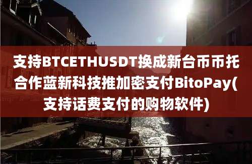 支持BTCETHUSDT换成新台币币托合作蓝新科技推加密支付BitoPay(支持话费支付的购物软件)