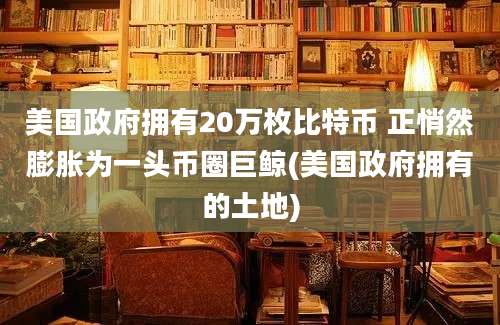 美国政府拥有20万枚比特币 正悄然膨胀为一头币圈巨鲸(美国政府拥有的土地)