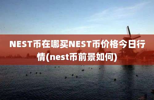 NEST币在哪买NEST币价格今日行情(nest币前景如何)