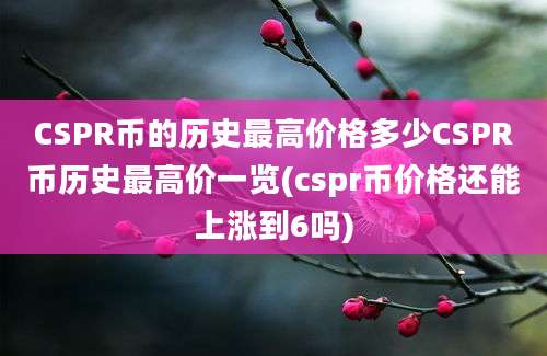 CSPR币的历史最高价格多少CSPR币历史最高价一览(cspr币价格还能上涨到6吗)