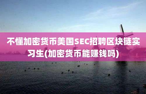 不懂加密货币美国SEC招聘区块链实习生(加密货币能赚钱吗)