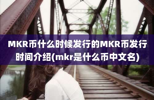 MKR币什么时候发行的MKR币发行时间介绍(mkr是什么币中文名)