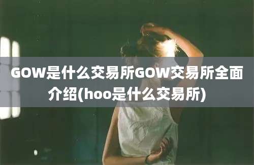 GOW是什么交易所GOW交易所全面介绍(hoo是什么交易所)