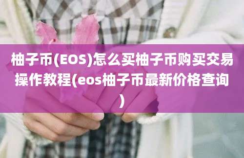 柚子币(EOS)怎么买柚子币购买交易操作教程(eos柚子币最新价格查询)