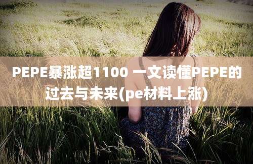 PEPE暴涨超1100 一文读懂PEPE的过去与未来(pe材料上涨)