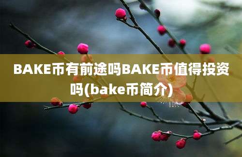 BAKE币有前途吗BAKE币值得投资吗(bake币简介)