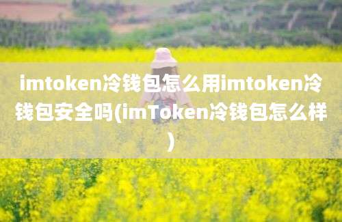 imtoken冷钱包怎么用imtoken冷钱包安全吗(imToken冷钱包怎么样)