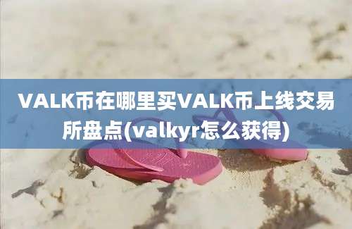 VALK币在哪里买VALK币上线交易所盘点(valkyr怎么获得)