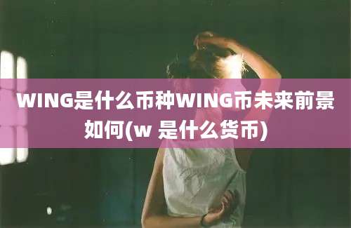 WING是什么币种WING币未来前景如何(w 是什么货币)