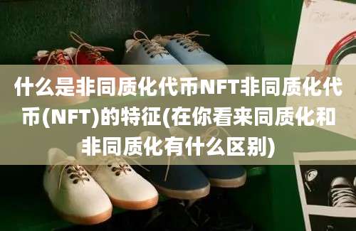 什么是非同质化代币NFT非同质化代币(NFT)的特征(在你看来同质化和非同质化有什么区别)