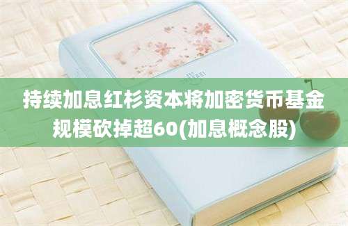 持续加息红杉资本将加密货币基金规模砍掉超60(加息概念股)