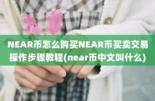 NEAR币怎么购买NEAR币买卖交易操作步骤教程(near币中文叫什么)