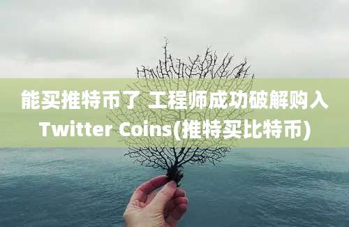 能买推特币了 工程师成功破解购入Twitter Coins(推特买比特币)