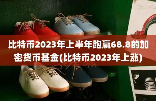 比特币2023年上半年跑赢68.8的加密货币基金(比特币2023年上涨)