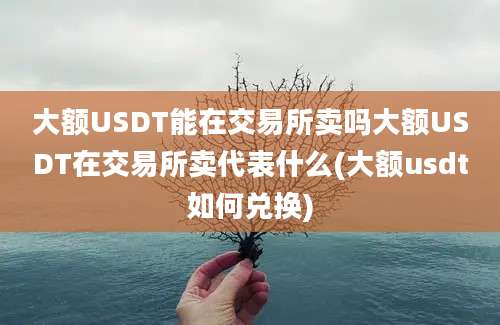 大额USDT能在交易所卖吗大额USDT在交易所卖代表什么(大额usdt如何兑换)