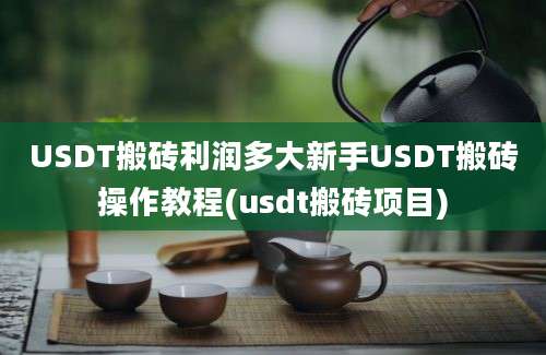 USDT搬砖利润多大新手USDT搬砖操作教程(usdt搬砖项目)