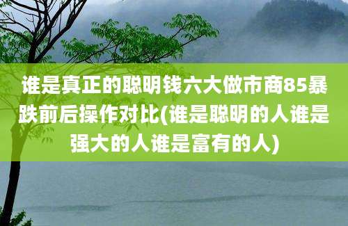 谁是真正的聪明钱六大做市商85暴跌前后操作对比(谁是聪明的人谁是强大的人谁是富有的人)