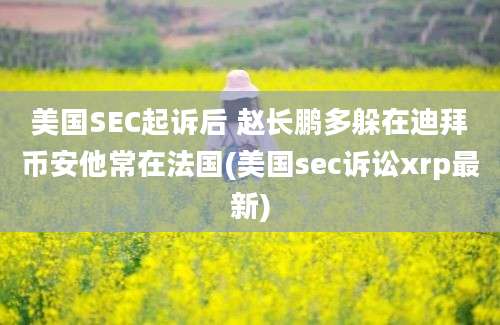 美国SEC起诉后 赵长鹏多躲在迪拜币安他常在法国(美国sec诉讼xrp最新)