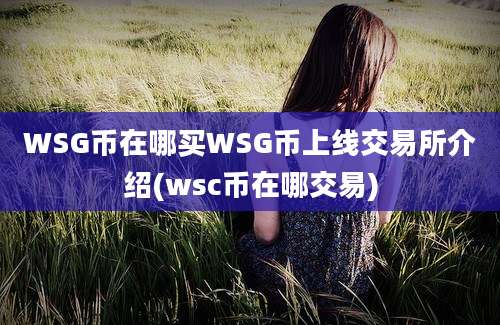 WSG币在哪买WSG币上线交易所介绍(wsc币在哪交易)