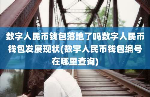 数字人民币钱包落地了吗数字人民币钱包发展现状(数字人民币钱包编号在哪里查询)