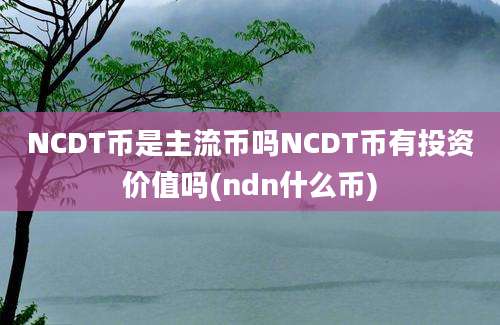 NCDT币是主流币吗NCDT币有投资价值吗(ndn什么币)