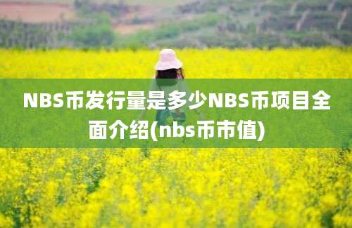 NBS币发行量是多少NBS币项目全面介绍(nbs币市值)