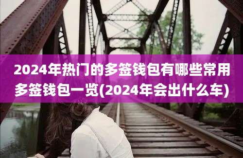 2024年热门的多签钱包有哪些常用多签钱包一览(2024年会出什么车)