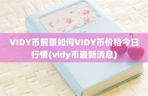 VIDY币前景如何VIDY币价格今日行情(vidy币最新消息)