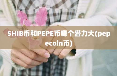 SHIB币和PEPE币哪个潜力大(pepecoin币)